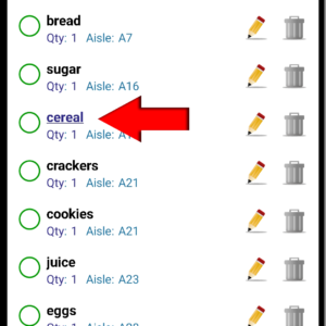 Shopping List Item